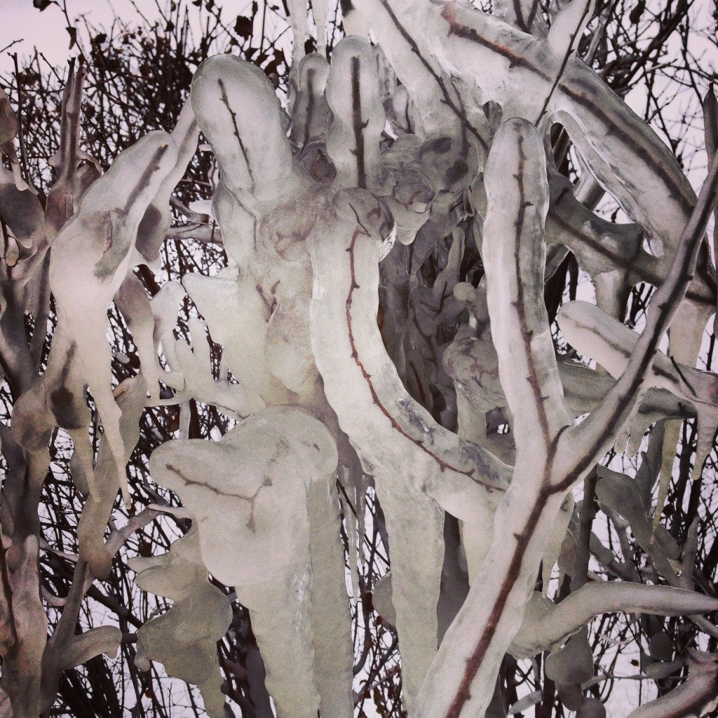 Branches in ice